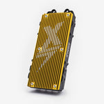 EBMX X-9000 Motor Controller Version 2 Gold for Light Bee / Sting